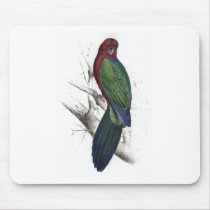 Tabuan Parrakeet by Edward Lear Mousepad