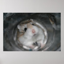 Tac Stare (2) - Poster
