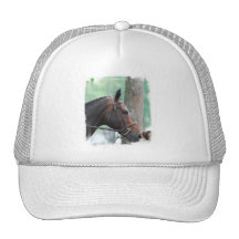 Tacked Dark Bay Horse Baseball Hat