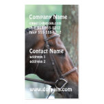 Tacked Dark Bay Horse Business Cards