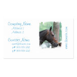 Tacked Dark Bay Horse Business Cards