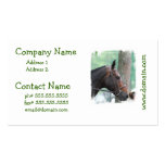 Tacked Dark Bay Horse Business Cards