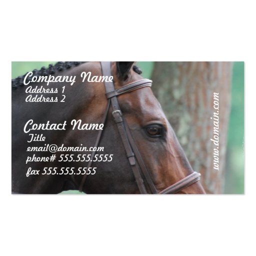 Tacked Dark Bay Horse Business Cards (front side)