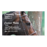 Tacked Dark Bay Horse Business Cards