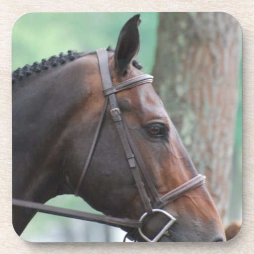 Tacked Dark Bay Horse Cork Coasters