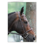 Tacked Dark Bay Horse Greeting Card