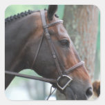 Tacked Dark Bay Horse Sticker