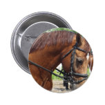 Tacked Draft Horse  Button