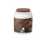 Tacked Draft Horse Candy Jar