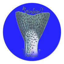 Tackle Box Stickers Collection by FishTsdotcom Tackle Box Stickers Collection
