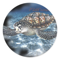 TackleBox Stickers Collection by FishTsdotcom TackleBox Stickers Collection
