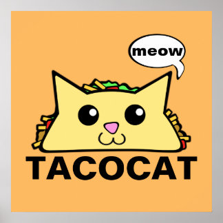 tacocat aphmau