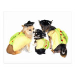 Taco Chihuahuas Postcards