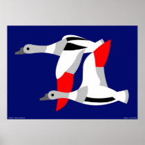 Tadorna, tadorna poster