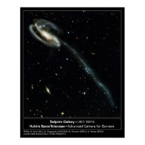 Tadpole Galaxy Hubble Telescope Photo posters