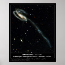 Tadpole Galaxy Hubble Telescope Photo Print