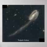 Tadpole Galaxy Posters
