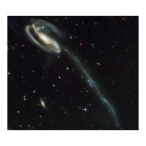 Tadpole Galaxy, UGC 10214 posters by kajicr Tadpole Galaxy, UGC 10214 posters