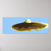 Tadpole Madtom Catfish Posters
