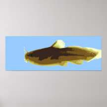 Tadpole Madtom Catfish Posters