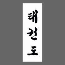 Tae Kwon Do Canvas posters