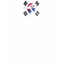 Tae Kwon Do Flyer Kids Ringer Tee Shirt