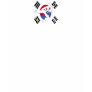 tae, tae kwon do, taekwondo, taekwodo flyer, tae