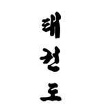 Tae Kwon Do Tee Shirts