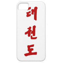 Taekwon-Do iPhone Case iPhone 5 Case