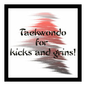 Taekwondo Kicks and Grins Poster Print