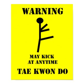Taekwondo Poster