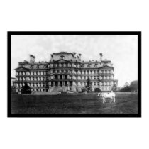 Taft's Cow Grazing near the War Building 1909 posters by lc_vintagephotos Taft's Cow Grazing near the War Building 1909 posters