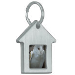 Tag Pet Tag - Customized