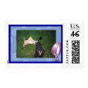 Tag Your It Willy! Candy Watch It! postage by candywilly Tag Your It Willy! Candy Watch It! postage