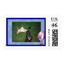 Tag Your It Willy! Candy Watch It! postage