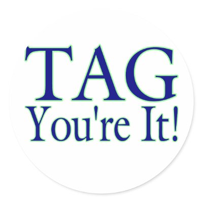 tag_youre_it_sticker-p217960720411144932qjcl_400.jpg