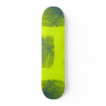 tags skateboards