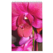 Tahiti calendars