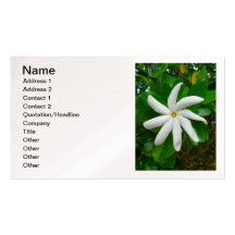 Tahitian Gardenia Business Cards