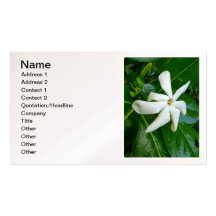 Tahitian Gardenia Business Cards