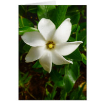 Tahitian Gardenia Card