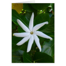 Tahitian Gardenia Greeting Card