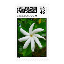 Tahitian Gardenia Postage