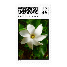 Tahitian Gardenia Postage Stamp