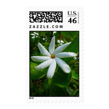 Tahitian Gardenia Postage Stamp