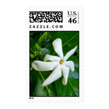 Tahitian Gardenia Stamp