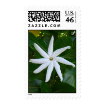 Tahitian Gardenia Stamps