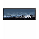 tahoe backcountry t-shirts