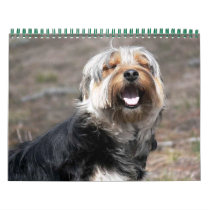 Tahoe's Calendar - Customized