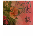 Tai Chi - Customized t-shirts